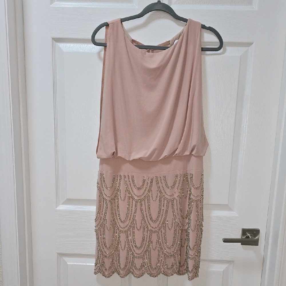 Adam Pink Beaded Mini Dress